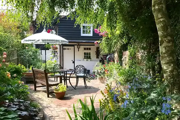 Professional Tree Services